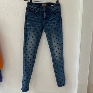 Driftwood Jackie Floral Embroidered Skinny Jeans Size 24